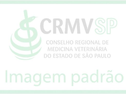 imagem-padrao-crm