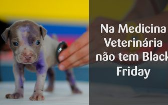 Filhote de cão está em destaque do lado esquerdo da imagem sendo examinado por um médico-veterinário. Ao lado direito, os dizeres: Na Medicina Veterinária não tem Black Friday